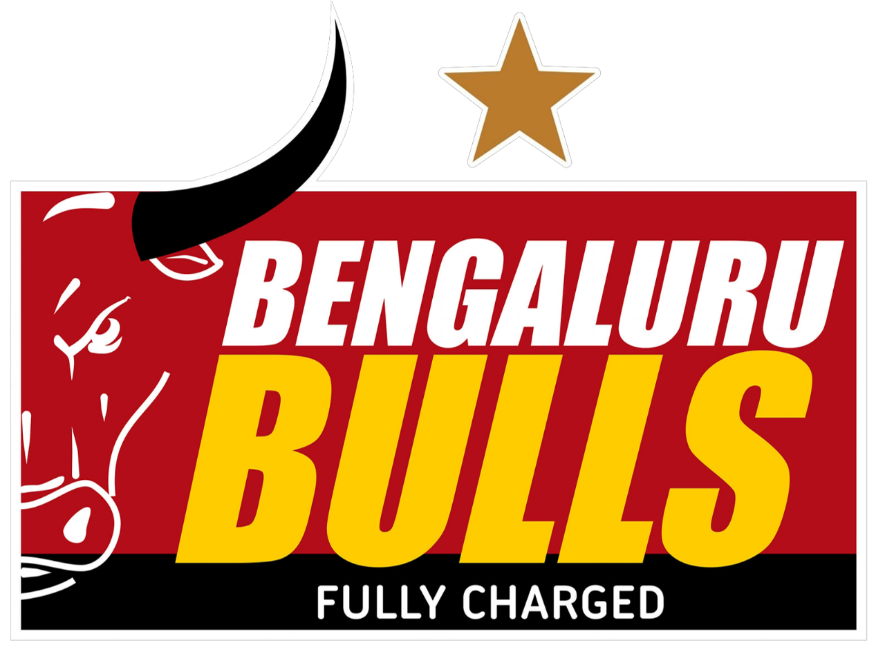 Bengaluru Bulls